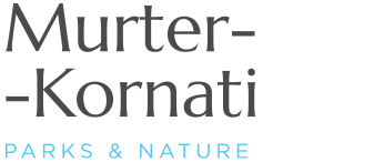 logotype